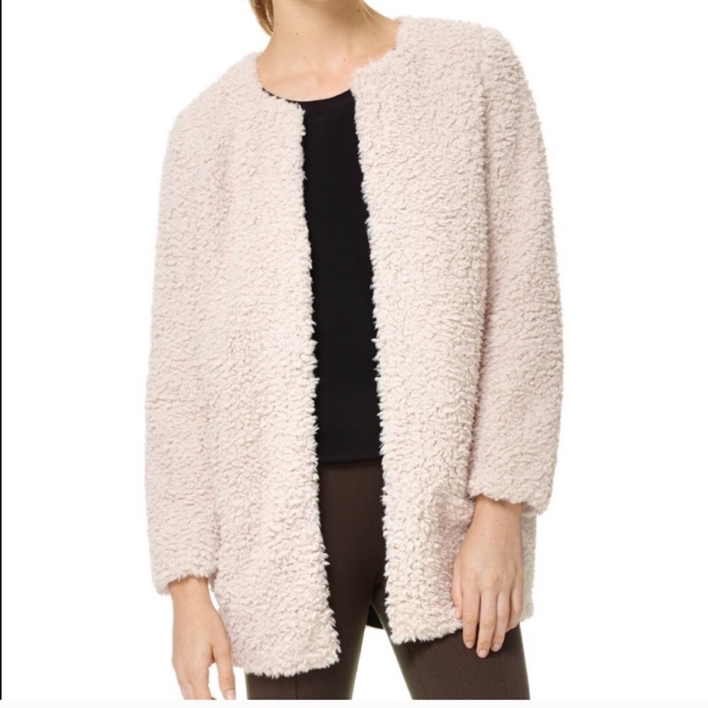 Aritzia Laboratoire Teddy Coat